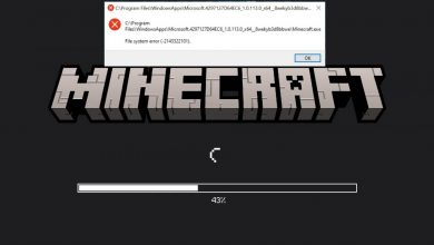 Файлова система Installer Minecraft