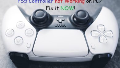Контролер PS5 не працює з ПК